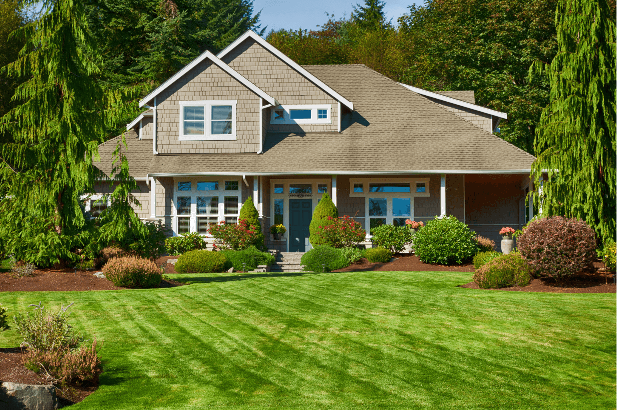 A pretty house surrounded by beautiful landscaping with trees and bushes. There is a sprawling lawn with lines showing its recently been mowed and had lawn service.